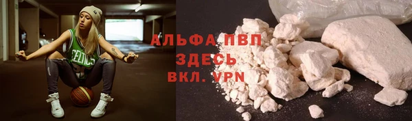 трава Аркадак