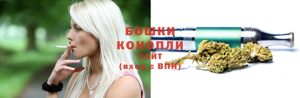 трава Аркадак
