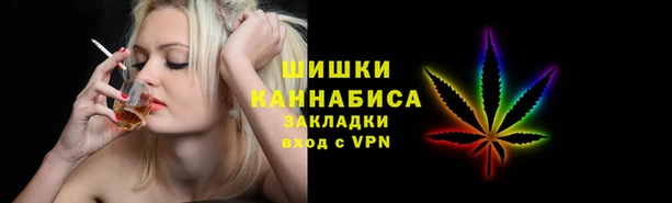 твердый Няндома