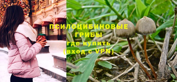 трава Аркадак