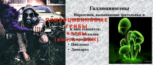 трава Аркадак