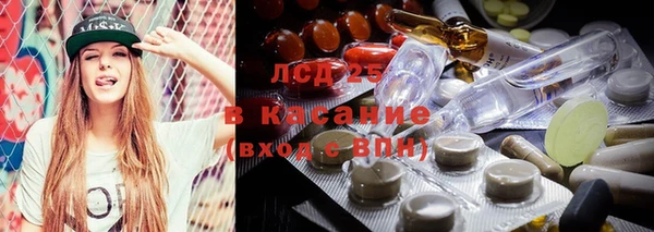 PSILOCYBIN Армянск