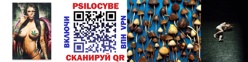 ОМГ ОМГ   Сегежа  Псилоцибиновые грибы GOLDEN TEACHER 